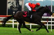 Street Legal gives Joao Moreira his fourth winner for the afternoon on Sunday.<br>Photo by Singapore Turf Club